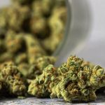 Medical marijuana facts  you need to know